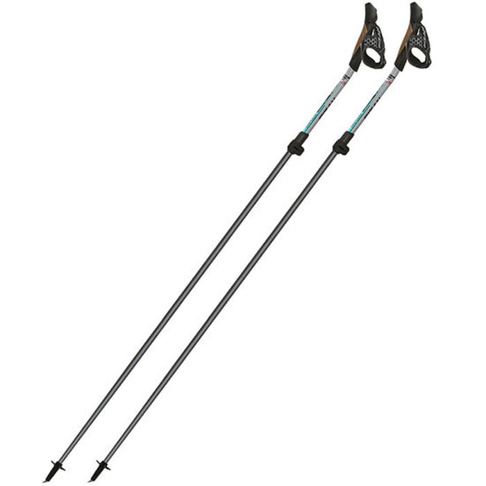 Fizan Carbon Pro Impulse bâtons de marche nordique