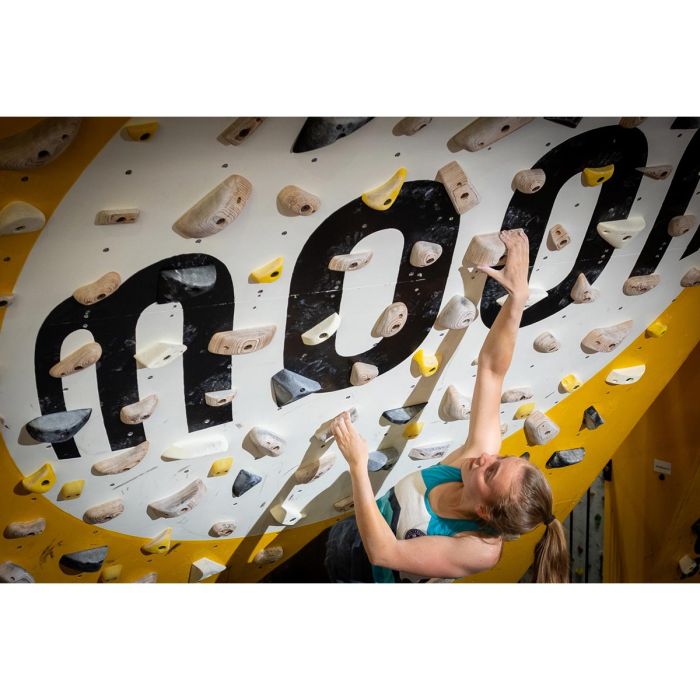 Moon School Holds Set A 50 prises d'escalade